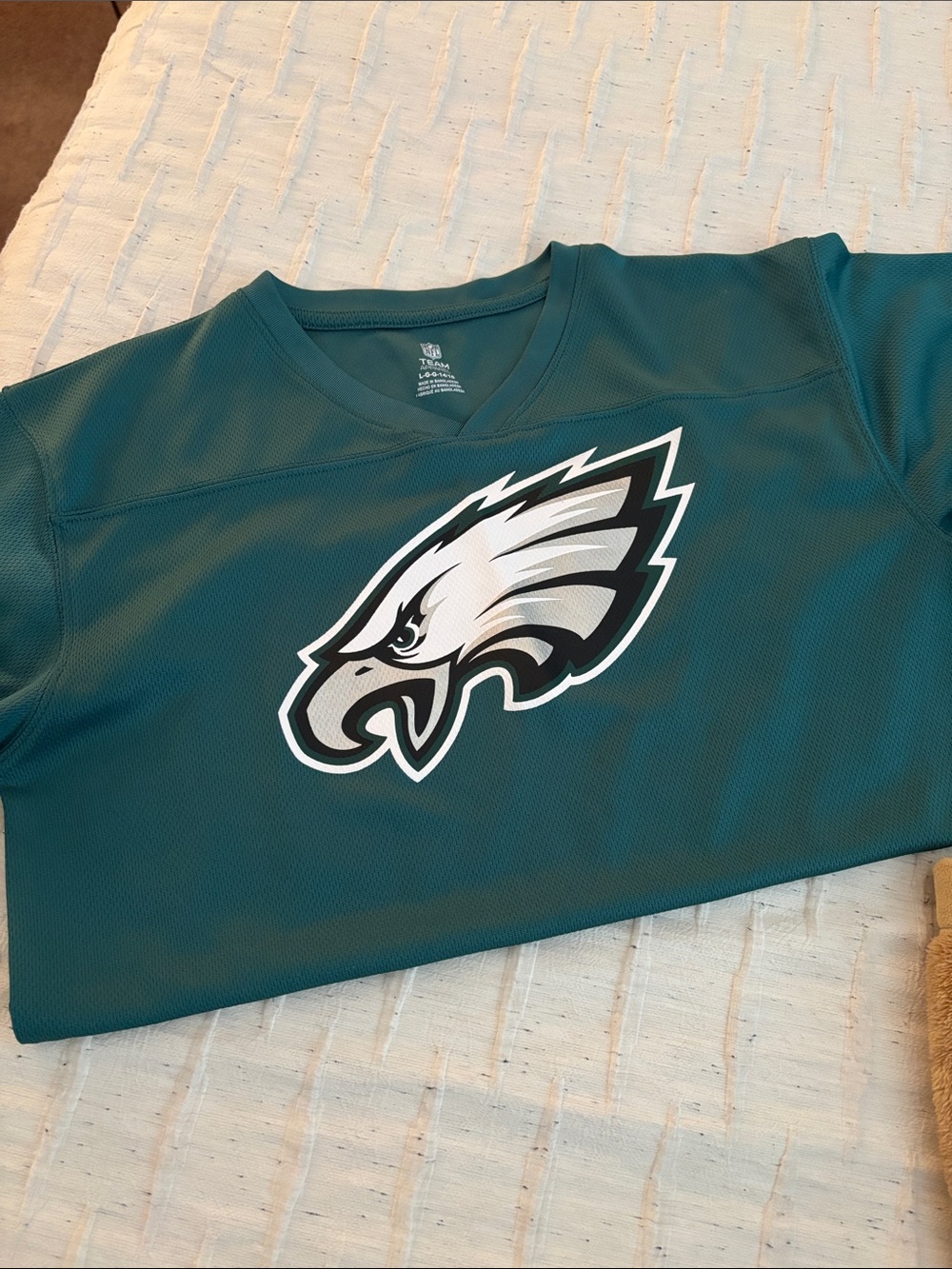 Philadelphia Eagles Football Jersey - Team Logo